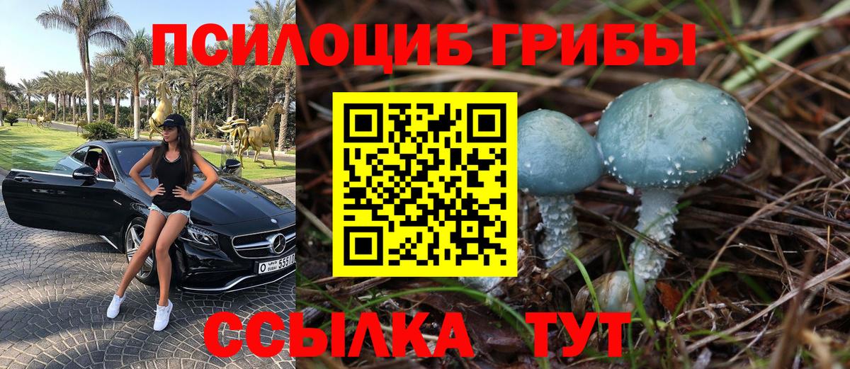 Псилоцибиновые грибы Psilocybe  Вход с VPN  Феодосия 